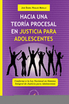 HACIA UNA TEORIA PROCESAL EN JUSTICIA PARA ADOLESCENTES