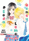 HONEY LEMON SODA N.16