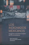 LOS INDIGNADOS MEXICANOS