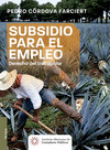 SUBSIDIO PARA EL EMPLEO