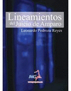 LINEAMIENTOS DEL JUICIO DE AMPARO