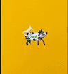 ALMANAQUE PICTOLINE 2016