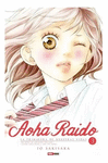 AOHA RAIDO N.3