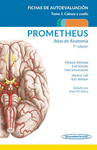 ATLAS DE ANATOMIA. FICHAS DE AUTOEVALUACION 7AED. TOMO 3 CABEZA Y CUELLO.