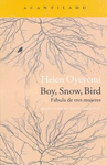 BOY SNOW BIRD