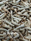 AI WEIWEI