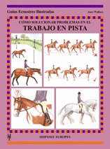 COMO SOLUCIONAR PROBLEMAS EN EL TRABAJO EN PISTA