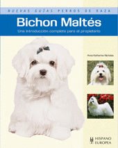 BICHON MALTES NUEVAS GUIAS PERROS DE RAZA