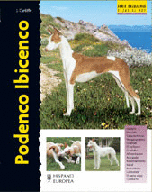 PODENCO IBICENCO SERIE EXCELLENCE