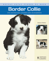 BORDER COLLIE NUEVAS GUIAS PERROS DE RAZA
