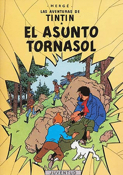(17)  EL ASUNTO TORNASOL