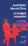 IMAGEN INCESANTE, LA. ANATOMIA DE LOS FORMATOS AUDIOVISUALES
