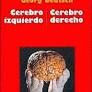CEREBRO IZQUIERDO-CEREBRO DERECHO