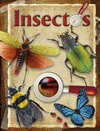 LIBRO ZOOM -INSECTOS