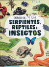 SERPIENTES, REPTILES E INSECTOS