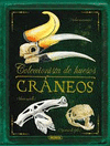 COLECCIONISTA DE HUESOS. CRANEOS