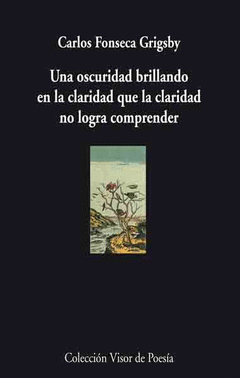 681- UNA OSCURIDAD BRILLANDO EN LA CLARIDAD QUE LA CLARIDAD NO LOGRA COMPRENDER