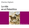 VIDA EN EL PALEOLITICO