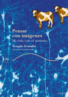 PENSAR CON IM�GENES