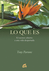 LO QUE ES