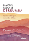 CUANDO TODO SE DERRUMBA (NUEVA EDICI�N)