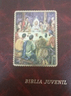 BIBLIA JUVENIL. 2 TOMOS - CARTONE