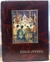 BIBLIA JUVENIL. 2 TOMOS - MARMOL CROMO