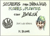 SECRETOS DIBUJAR FLORES Y PLANTAS CON BALUI