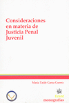 CONSIDERACIONES EN MATERIA DE JUSTICIA PENAL JUVENIL