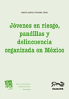 JOVENES EN RIESGO PANDILLAS Y DELINCUENCIA ORGANIZADA EN MEXICO