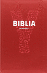 YOUCAT BIBLIA
