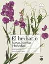 HERBARIO : MATAS, HIERBAS Y HELECHOS, EL