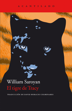 TIGRE DE TRACY EL