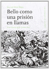 BELLO COMO UNA PRISION EN LLAMAS