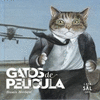 GATOS DE PELICULA