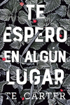 TE ESPERO EN ALGUN LUGAR