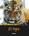 EL TIGRE QUIEN ERES?