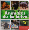 ANIMALES DE LA SELVA ANMALES EN CARTON
