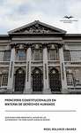 PRINCIPIOS CONSTITUCIONALES EN MATERIA DE DERECHOS HUMANOS