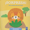 SORPRESA! VEO ANIMALES SALVAJES