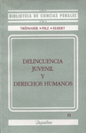 DELINCUENCIA JUVENIL Y DERECHOS HUMANOS