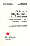 PRACTICA PROFESIONAL DEL ABOGADO 2DA EDICION AMPLIADA