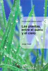 LAS PLANTAS, ENTRE EL SUELO Y EL CIELO