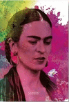 LIBRO DIARIO DE FRIDA TINTA