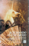 ACECHANDO AL UNICORNIO : LA VIRGINIDAD EN LA LITERATURA MEXICANA