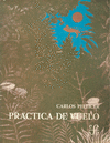 PRACTICA DE VUELO 1956