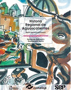 HISTORIA REGIONAL DE AGUASCALIENTES