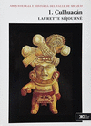 ARQUEOLOGIA E HISTORIA DEL VALLE DE MEXICO / VOLUMEN 1 CULHUACAN