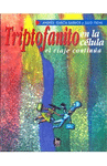 TRIPTOFANITO EN LA CELULA, EL VIAJE CONTINUA