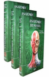 ANATOMIA HUMANA 13